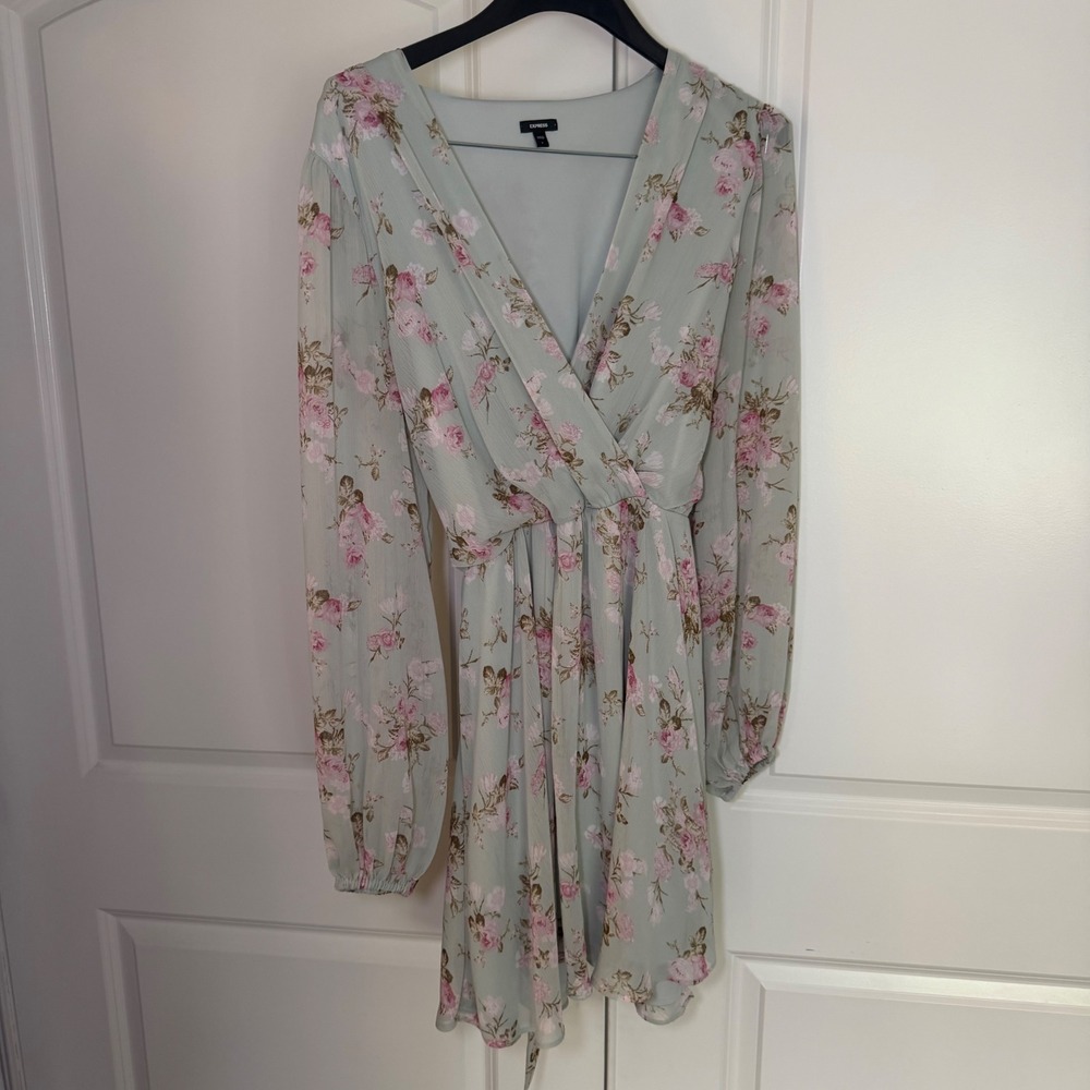 Express Mint Green Floral Long Sleeve Dress Pink Rose Print Womens L